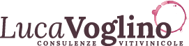 Voglino Consulenze Logo