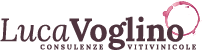 Voglino Consulenze Logo